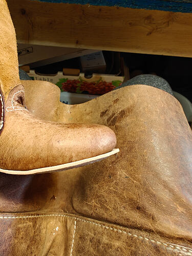 20260227_105309_OnePlus12